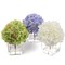 Lifelike Silk Hydrangea Flower Arrangement Set with Vase - Elegant and Realistic Home Decor